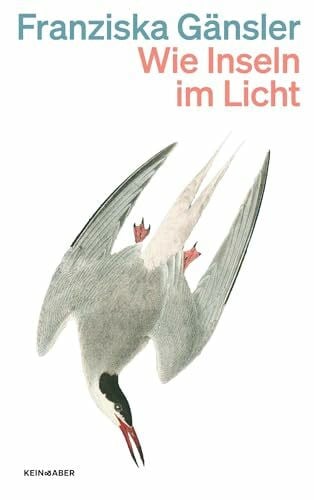Wie Inseln im Licht: Nach »Ewig Sommer« ein neues Meisterwerk der atmosphärischen Spannung