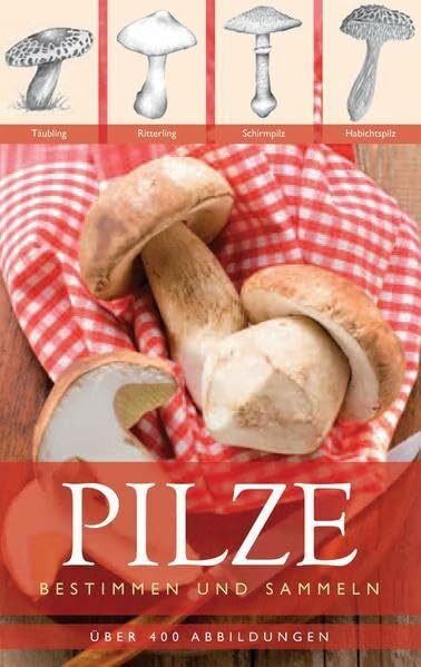 Pilze: Bestimmen und sammeln