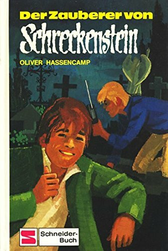 Burg Schreckenstein: Der Zauberer von Schreckenstein. Bd. 14