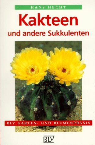 Kakteen und andere Sukkulenten