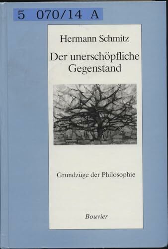 Der unerschöpfliche Gegenstand: Grundzüge der Philosophie