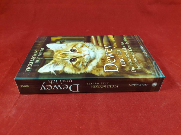 Dewey und ich -: Die wahre Geschichte des berühmtesten Katers der Welt