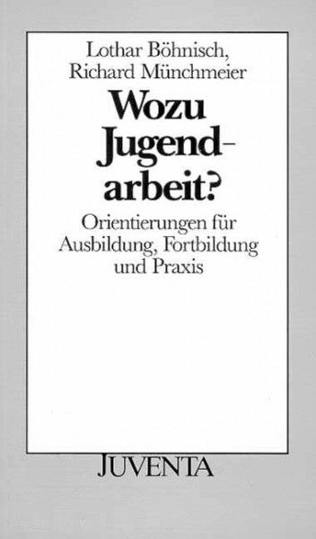 Wozu Jugendarbeit: Orientierungen für Ausbildung, Fortbildung und Praxis (Juventa Paperback)