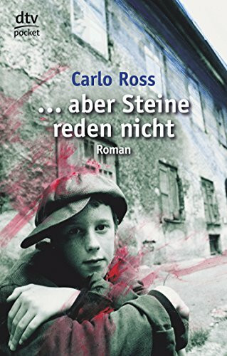 ... aber Steine reden nicht (dtv pocket): Roman. Auf der Empfehlungsliste zum Gustav-Heinemann-Friedenspreis