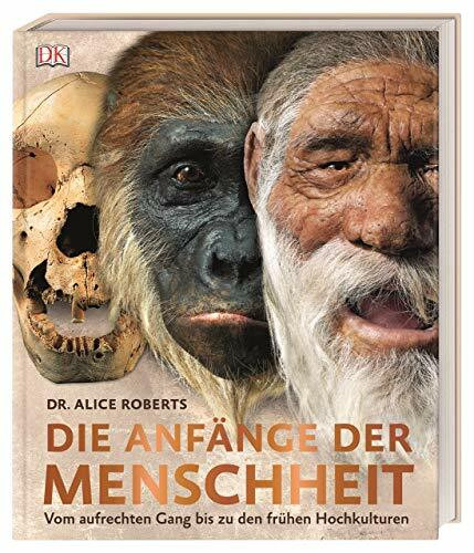 Die Anfänge der Menschheit: Vom aufrechten Gang bis zu den frühen Hochkulturen
