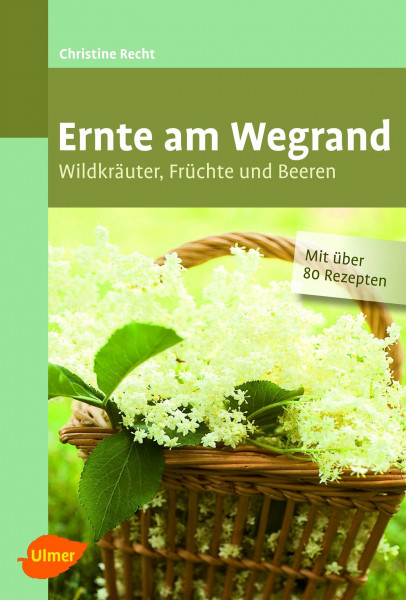 Ernte am Wegrand: Wildkräuter, Früchte und Beeren