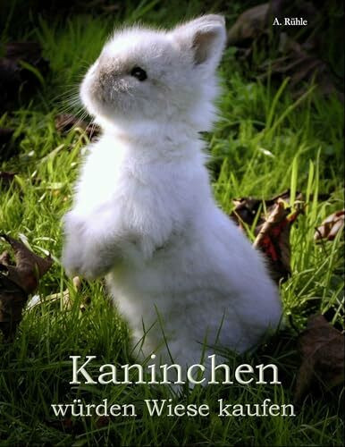 Kaninchen würden Wiese kaufen: Haltung und Ernährung von Zwergkaninchen - Informationen für engagierte Halter
