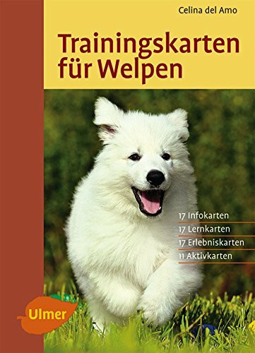 Trainingskarten für Welpen: 17 Infokarten, 17 Lernkarten, 17 Erlebniskarten, 11 Aktivkarten