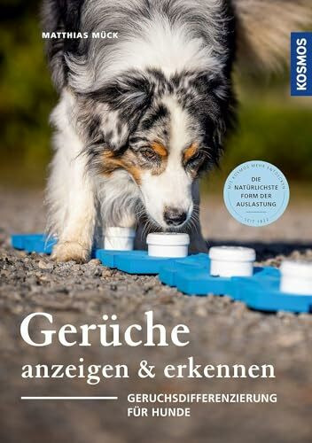 Gerüche erkennen und anzeigen: Geruchsdifferenzierung für Hunde - Nasenarbeit, die natürlichste Form der Auslastung