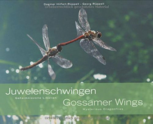 Juwelenschwingen /Gossamer Wings: Geheimnisvolle Libellen /Mysterious Dragonflies