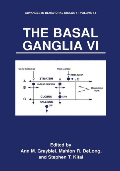The Basal Ganglia VI