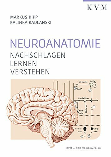 Neuroanatomie: Nachschlagen, Lernen, Verstehen