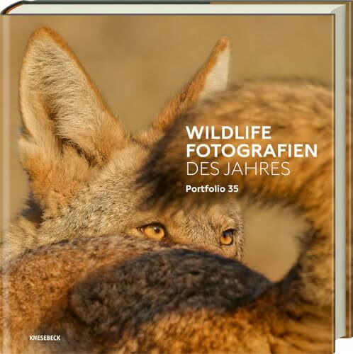 Wildlife Fotografien des Jahres - Portfolio 35