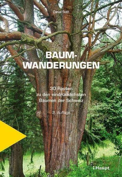 Baumwanderungen: 30 Routen zu den eindrücklichsten Bäumen der Schweiz