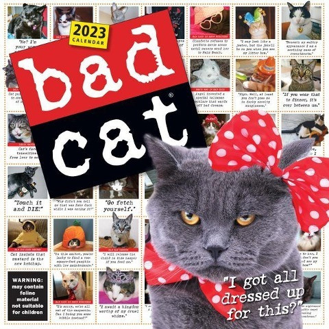 Bad Cat Wall Calendar 2023: Hilarious Photos Celebrating the Misfits of the Feline World