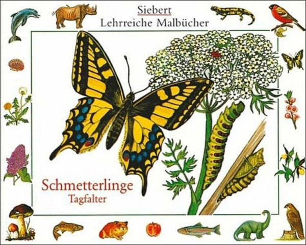 Malbuch: Schmetterlinge - Tagfalter