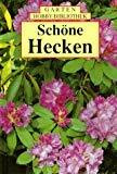 Schöne Hecken