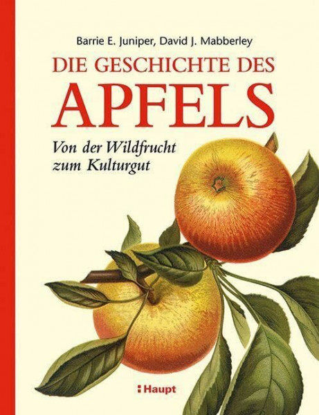 Die Geschichte des Apfels: Von der Wildfrucht zum Kulturgut