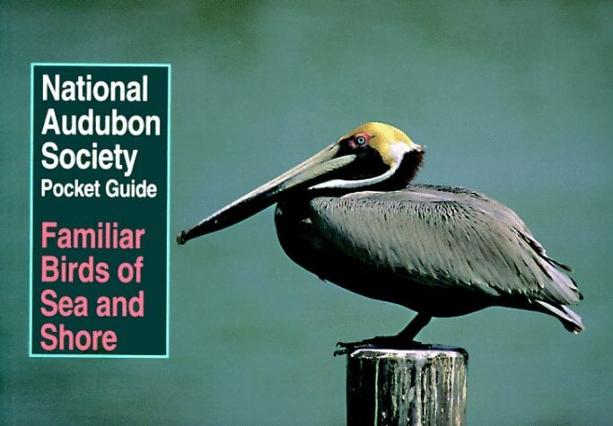 Familiar Birds of Sea and Shore (National Audubon Society Pocket Guides) Familiar Birds of Sea and Shore (National Audubon Society Pocket Guides)