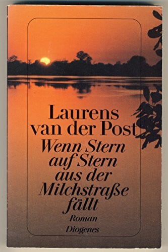 Wenn Stern auf Stern aus der Milchstrasse fällt: Roman.