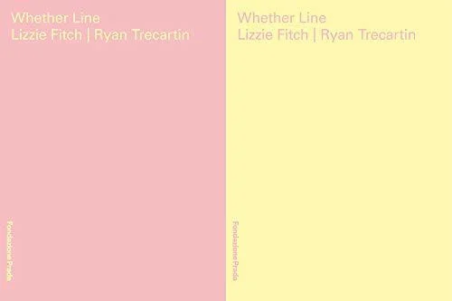 Lizzie Fitch & Ryan Trecartin: Whether Line