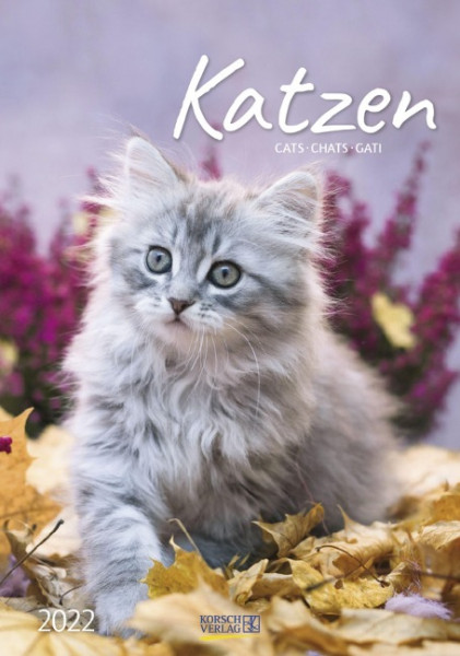 Katzen 2022