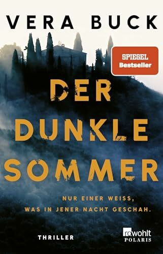 Der dunkle Sommer: Nur einer weiß, was in jener Nacht geschah. | Thriller