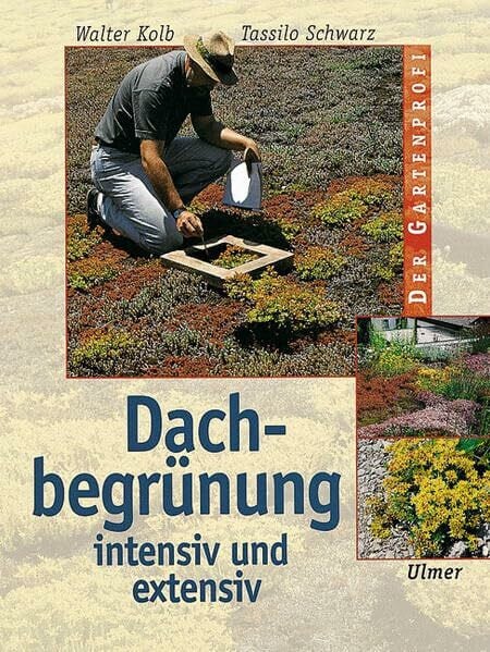 Dachbegrünung: Intensiv und extensiv