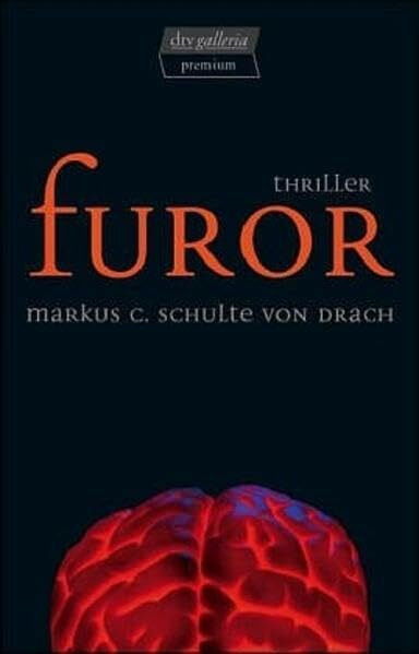 Furor: Thriller