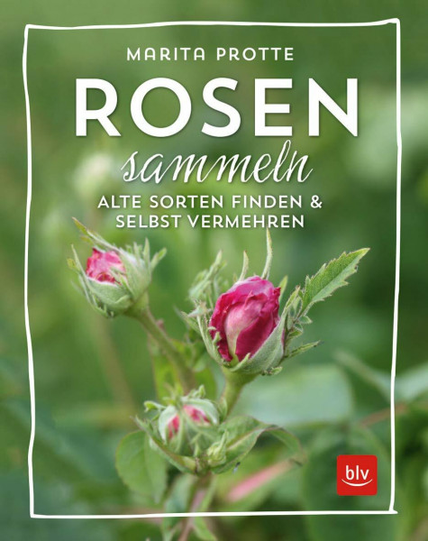 Rosen sammeln: Alte Rosen finden & vermehren (BLV Pflanzenpraxis)