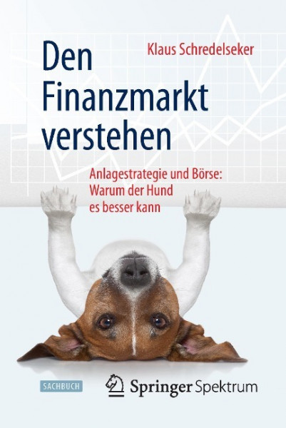 Den Finanzmarkt verstehen