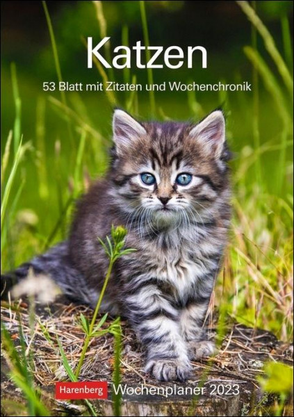 Katzen Wochenplaner 2023