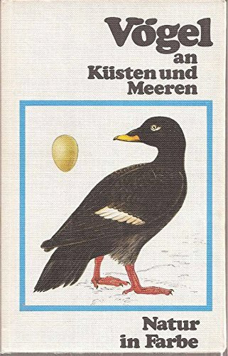 Vögel an Küsten und Meeren