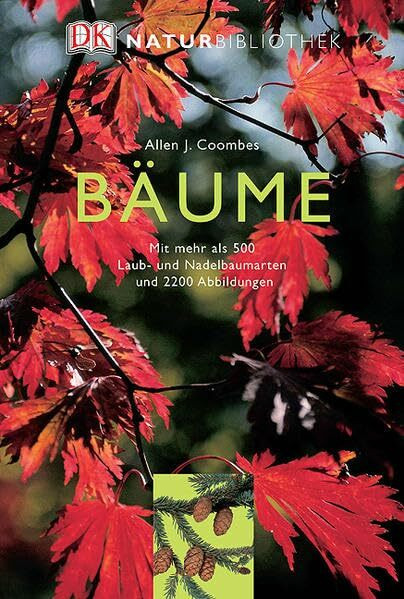 Bäume: Mit mehr als 500 Laub- und Nadelbaumarten