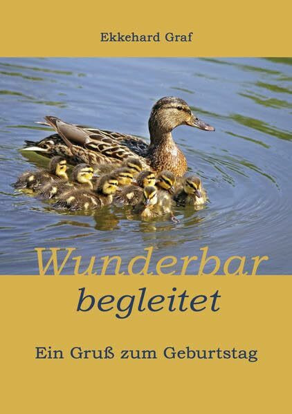 Wunderbar begleitet: Ein Gruß zum Geburtstag (Fundus-Reihe)