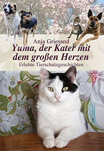 Yuma, der Kater mit dem großen Herzen: Erlebte Tierschutzgeschichten