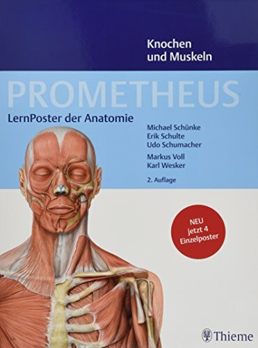 PROMETHEUS LernPoster der Anatomie, Knochen und Muskeln