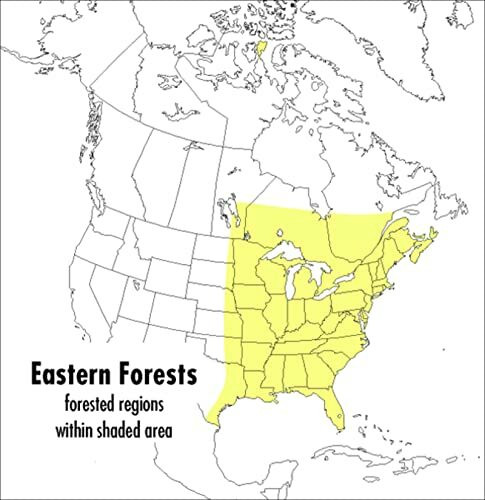 A Peterson Field Guide to Eastern Forests: North America (Peterson Field Guides)