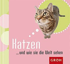 Katzen ... und wie sie die Welt sehen