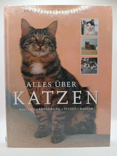 Alles über Katzen