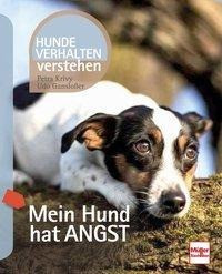 Mein Hund hat Angst