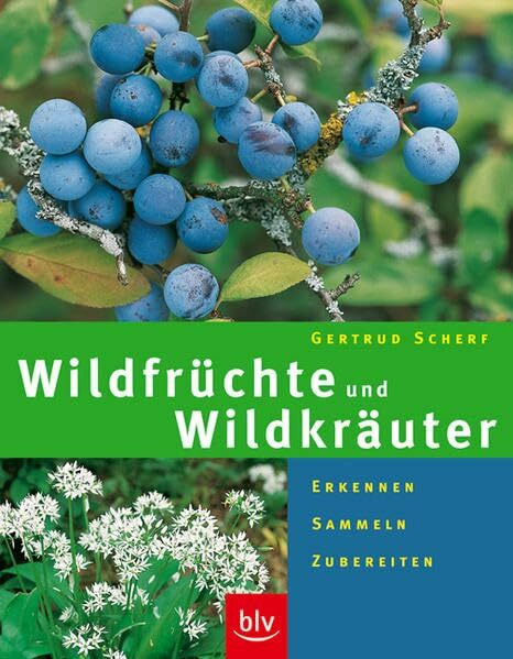 Wildfrüchte und Wildkräuter: Erkennen · Sammeln · Zubereiten