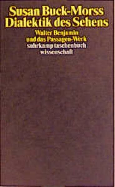 Dialektik des Sehens: Walter Benjamin und das Passagen-Werk