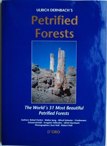 Petrified Forests: The world's 31 most beautiful petrified forests