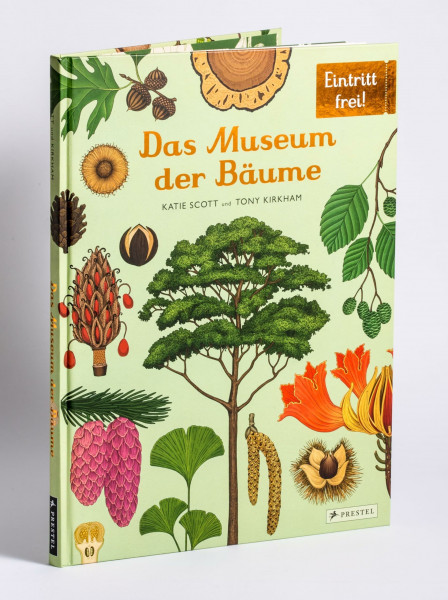 Das Museum der Bäume: Eintritt frei! - Sachbilderbuch im Großformat für Kinder ab 8 Jahren mit meisterhaften Illustrationen von Katie Scott (Eintritt frei! Komm mit ins Museum, Band 15)