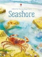 Young Beginners Seashore