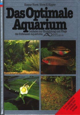 Das optimale Aquarium