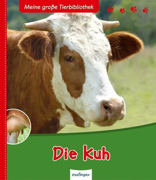 Die Kuh (Meine große Tierbibliothek)