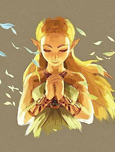 Legend of Zelda: Breath of the Wild Erw. Edition (Lösungsbuch): Das offizielle Buch - Erweiterte Edition