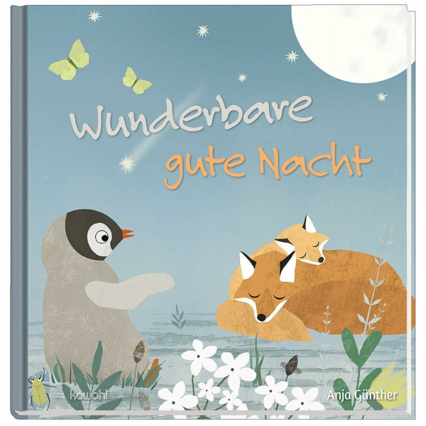 Wunderbare gute Nacht: Bilderbuch